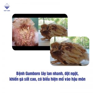 50 benh thuong gap o ga 1