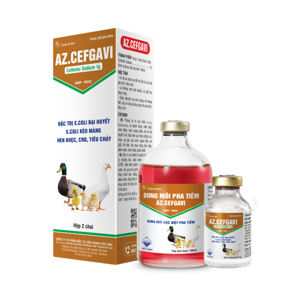 AZ.CEFGAVI 100ml