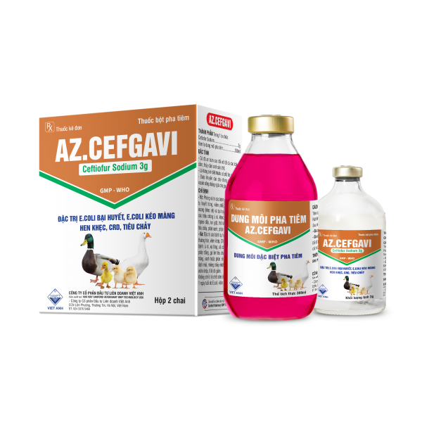 AZ.CEFGAVI 300ml