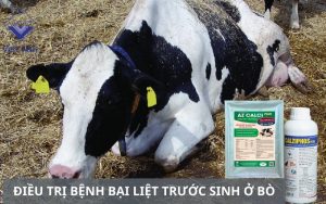 Bai liet truoc sinh o bo 5