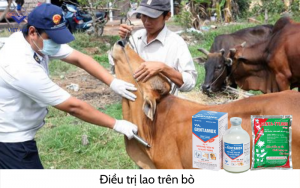 Benh lao o bo 5