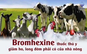 Bromhexine thumb