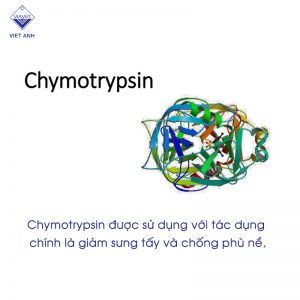Chymotrypsin 1