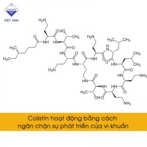 Colistin 1jpg