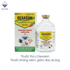 Dexamethasone 2