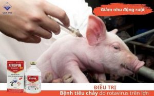 Dieu tri tieu chay do rotavirus