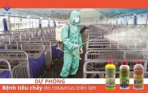 Du phong benh tieu chay do rotavirus
