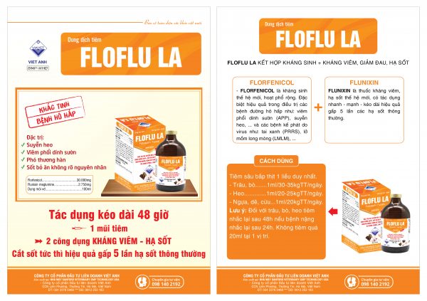 FLOFLU LA 01 scaled
