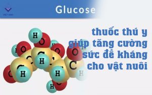 Glucose thumb