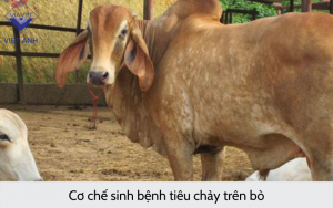 Hoi chung tieu chay 3