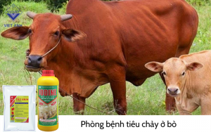 Hoi chung tieu chay 5
