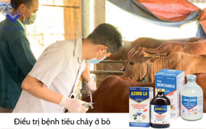 Hoi chung tieu chay 6