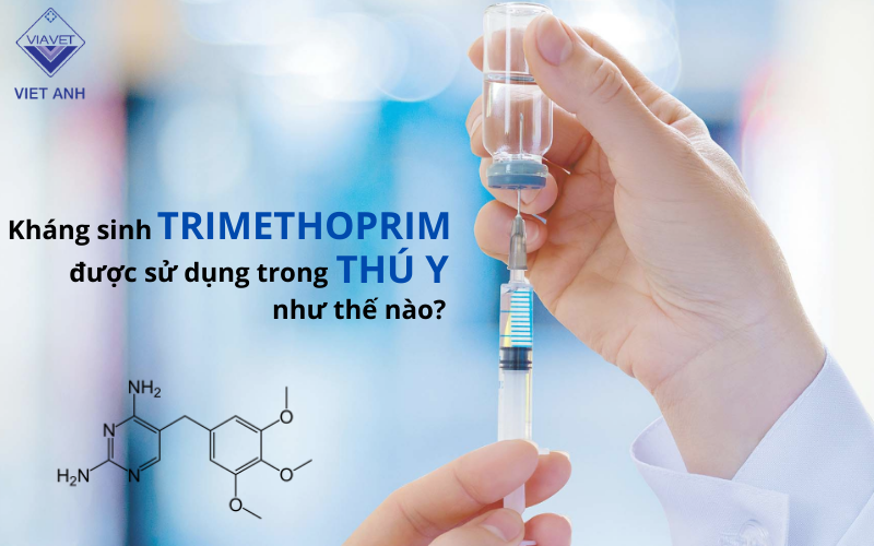 Khang sinh trimethoprim duoc su dung trong thu y nhu the nao