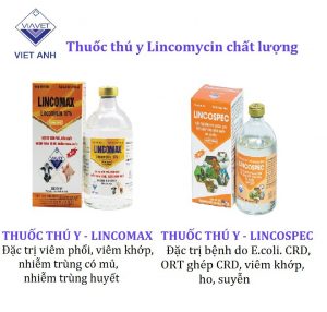 Lincomycin 2