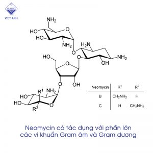 Neomycin 1