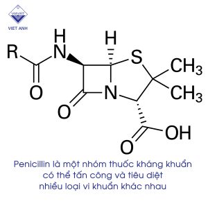 Penicillin 1