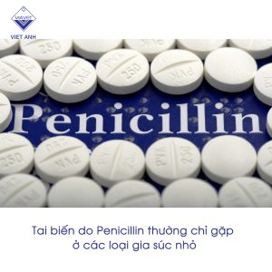 Penicillin 2
