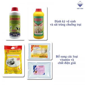 Phong va dieu tri benh cum gia cam