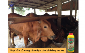 San pham AZ Gluco KC Bamin giup tang suc de khang cho bo