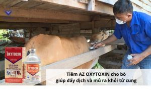 San pham AZ Gluco KC Bamin giup tang suc de khang cho bo 4