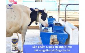 San pham AZ Gluco KC Bamin giup tang suc de khang cho bo 7