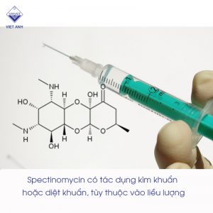 Spectinomycin1