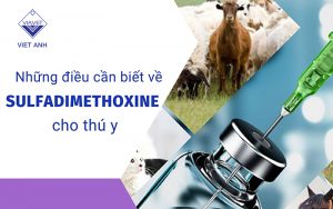 Sulfadimethoxine thumb