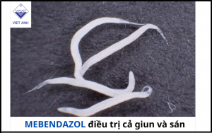 Thuoc tay giun san chua mebendazol trong thu y