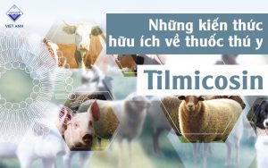 Tilmicosin thumb