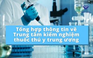 Trung tam kiem nghiem thumb