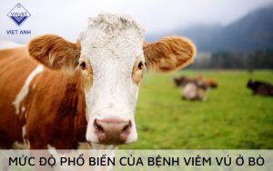Viem vu 2