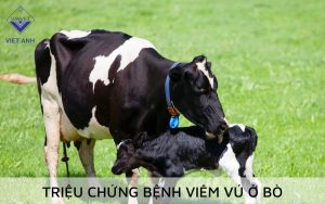 Viem vu 4