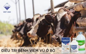Viem vu 5