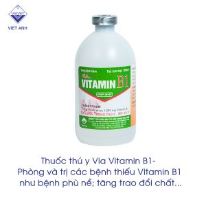 Vitamin B1 2