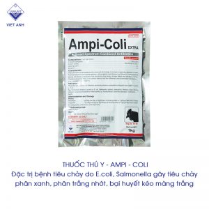 ampi coli 2