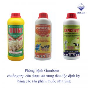 benh gumboro cua ga 2