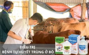benh tu huyet trung 4