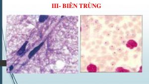 bin trung va l dang trung 30 638