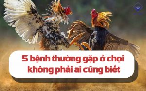 cac benh thuong gap o ga choi thumb