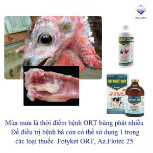 cac benh thuong gap o ga tay 2