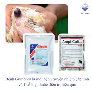 cac benh thuong gap o ga vao mua dong 2