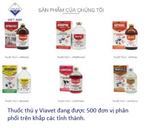 cty thuoc thu y 3
