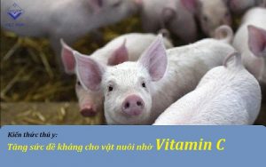 fbe242e012e7e4b9bdf6