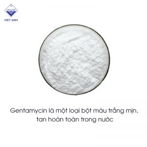 gentamicin 1