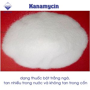 kanamycin 1
