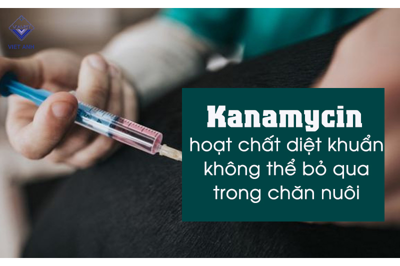 Thuốc kháng sinh Kanamycin
