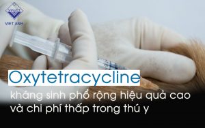 oxytetracycline thumb