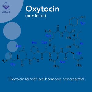 oxytocin 1