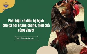 pasted image 0 14