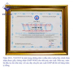 pasted image 0 6